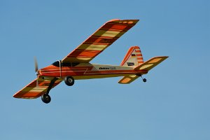 DSC_4353