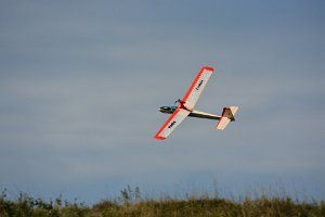 DSC_8104