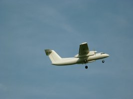 P1010574